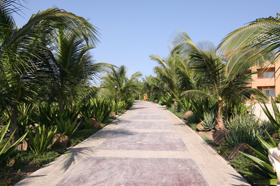 Cape Verde Property Investment: 15 Key Answers to Common Due Diligence Questions